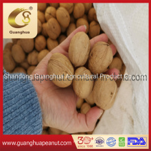 Best Quality 2021 New Crop Walnut in Shwll